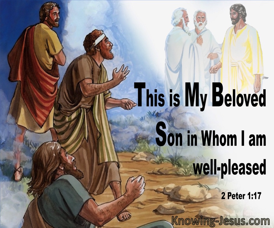2 Peter 1:17 This Is My Beloved Son In Whom I Am Well Pleased (brown)
